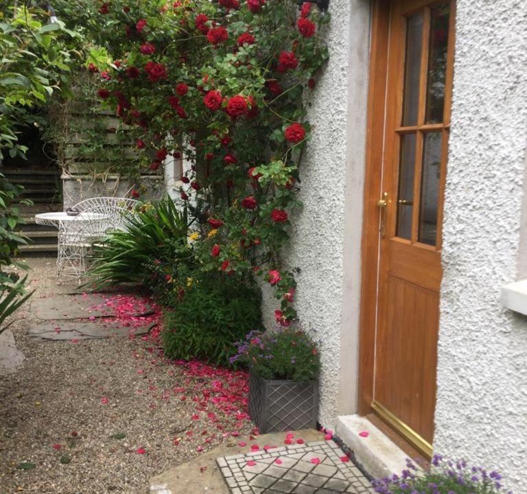 Photo of Others in Banff