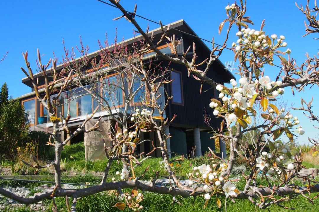 Photo of Others in Geraldine