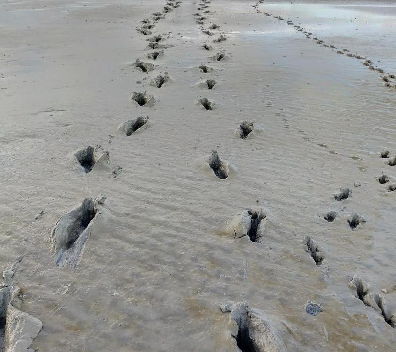 Photo of Others in Saint-Jean-le-Thomas