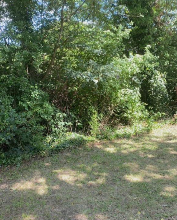 Photo of Outdoor in Dunmow