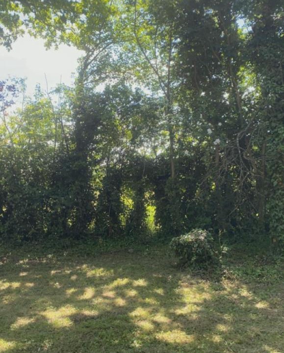 Photo of Outdoor in Dunmow