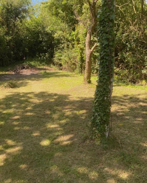 Photo of Outdoor in Dunmow