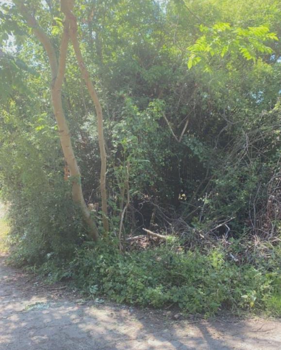 Photo of Outdoor in Dunmow