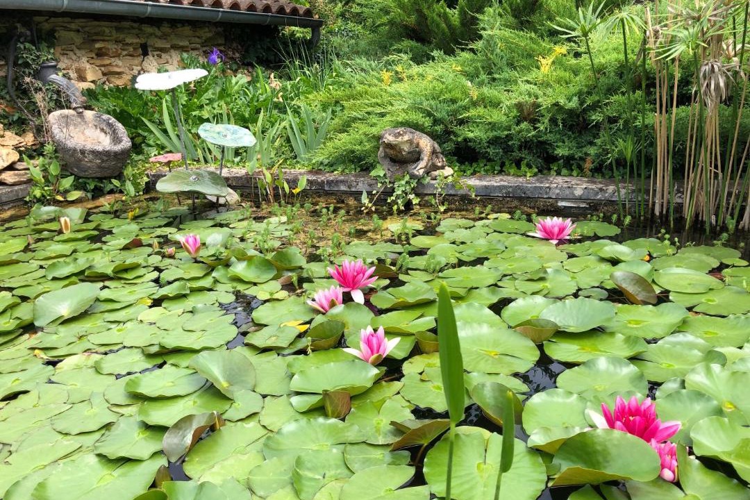 Photo of Others in Sainte-Nathalene