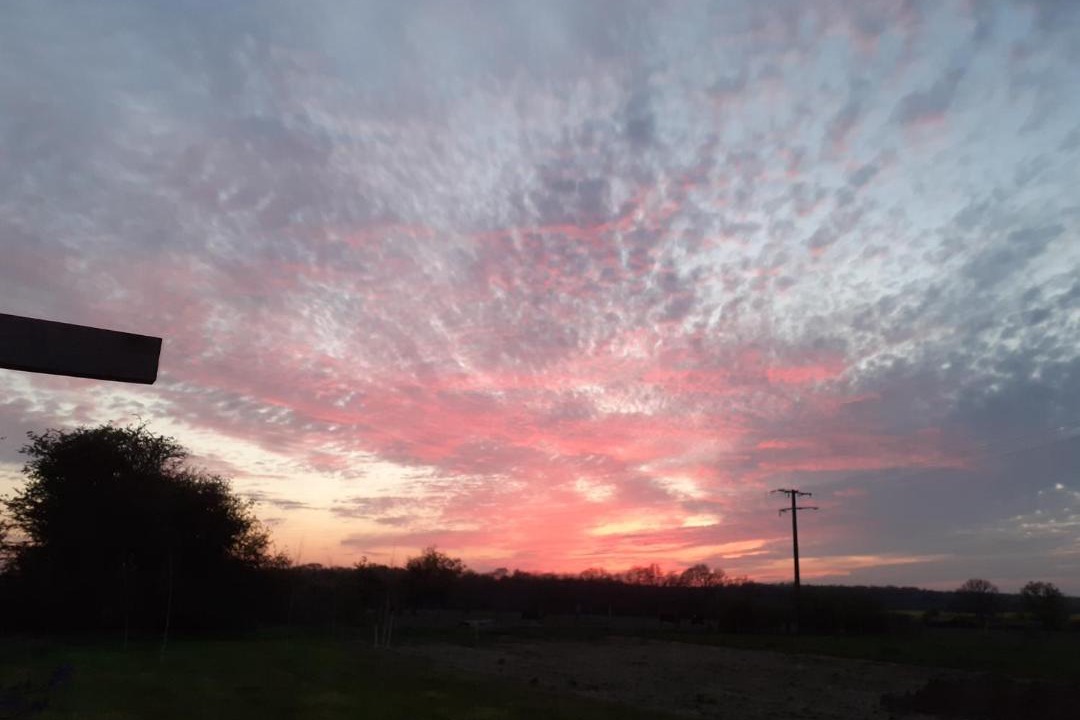 Photo of Others in Marchainville