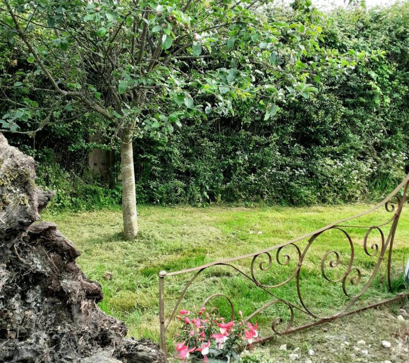 Photo of Others in Marchainville