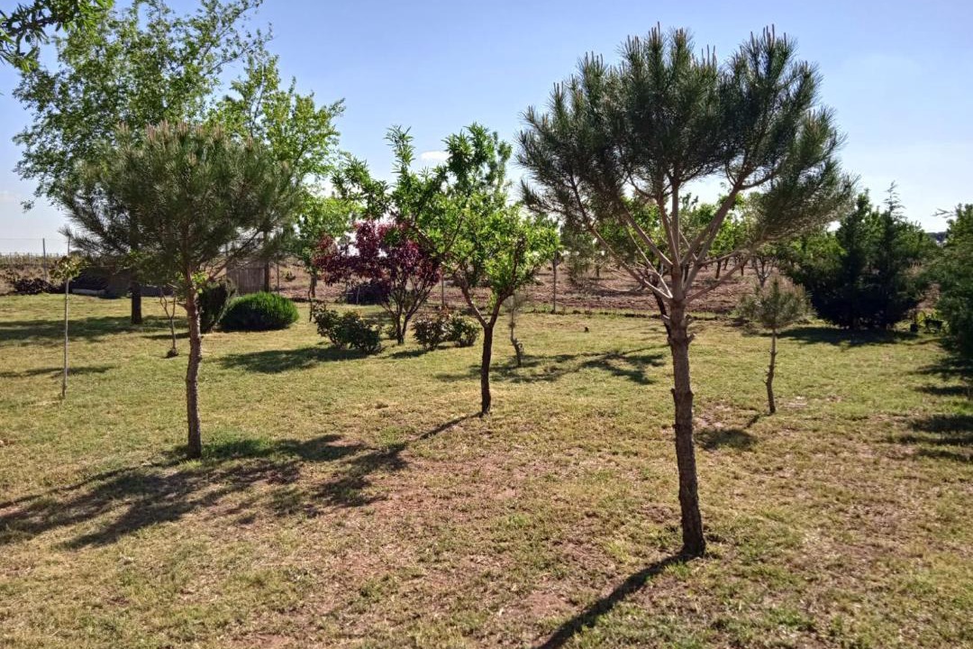Photo of Outdoor in Socuellamos