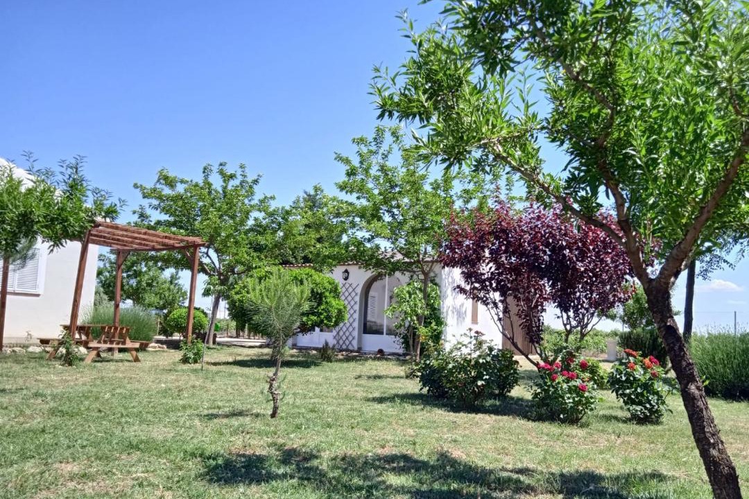 Photo of Buildings in Socuellamos
