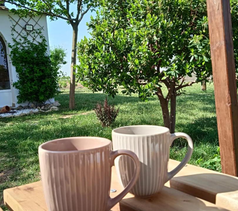 Photo of Patio Balcony in Socuellamos