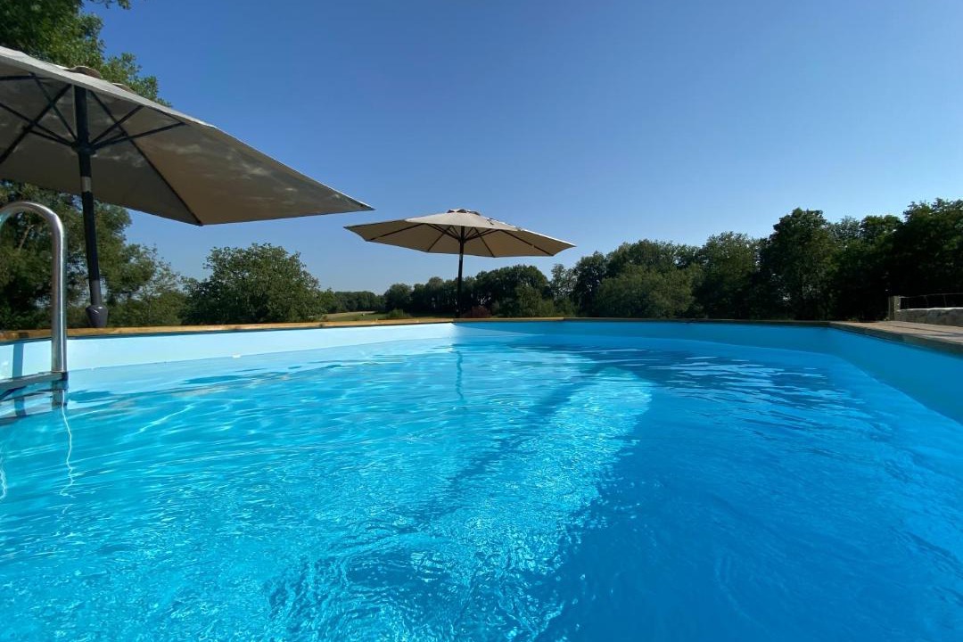 Photo of Others in Montreal