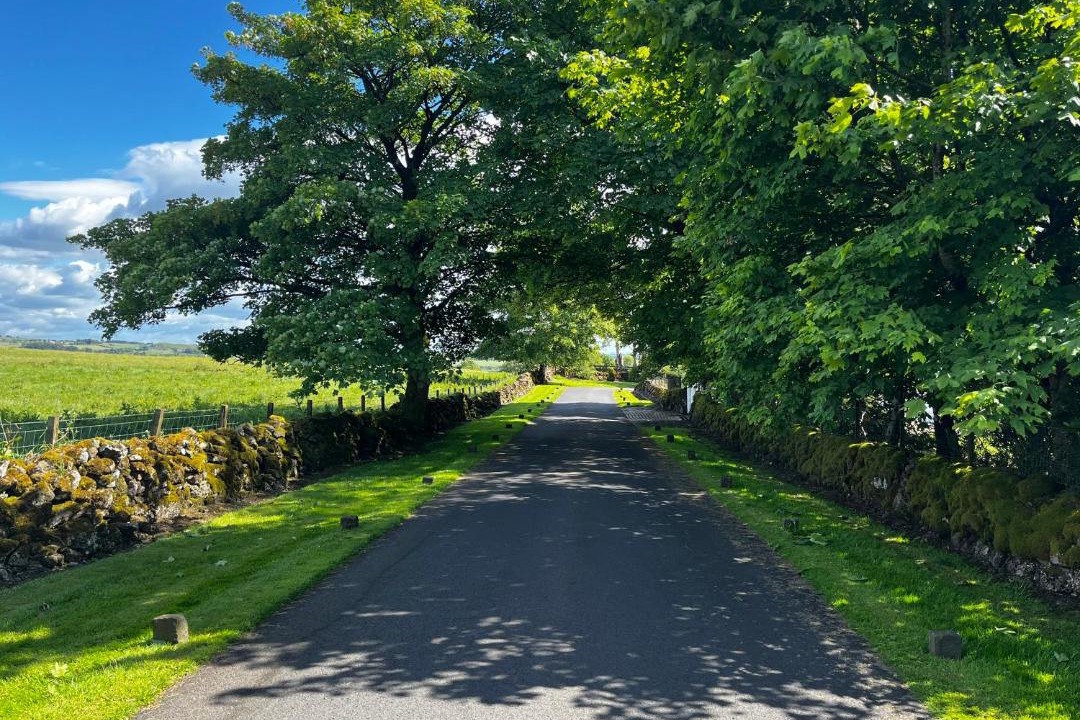 Photo of Others in Kilkenzie