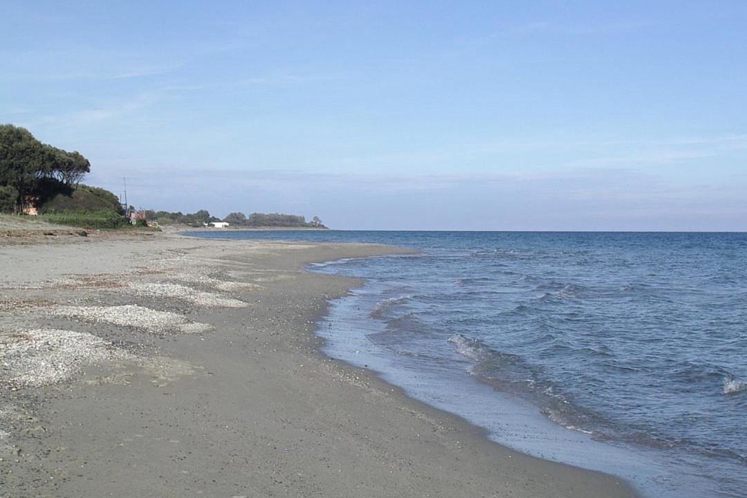 Photo of Outdoor in Poggio-Mezzana