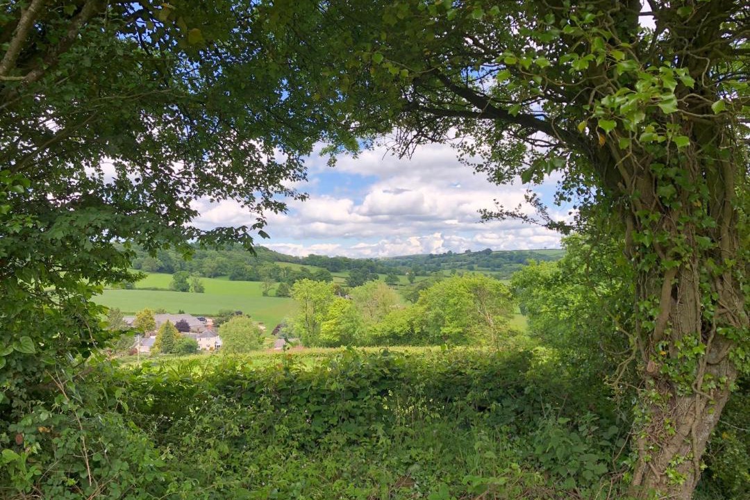 Photo of Outdoor in Honiton
