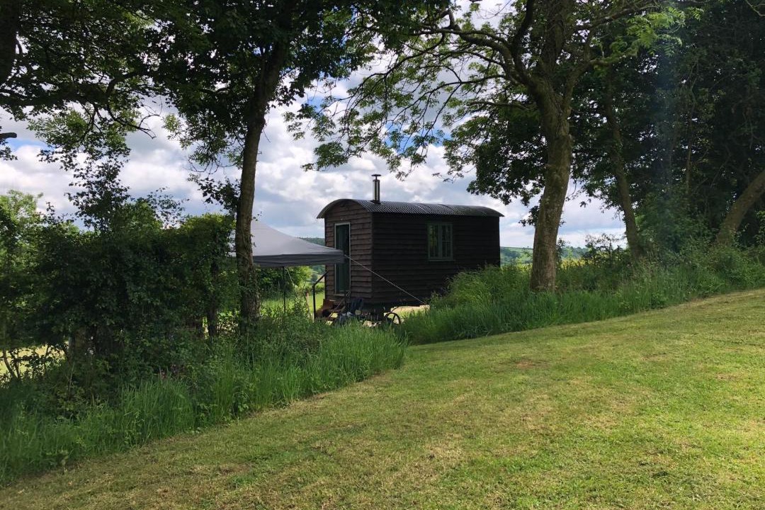 Photo of Buildings in Honiton