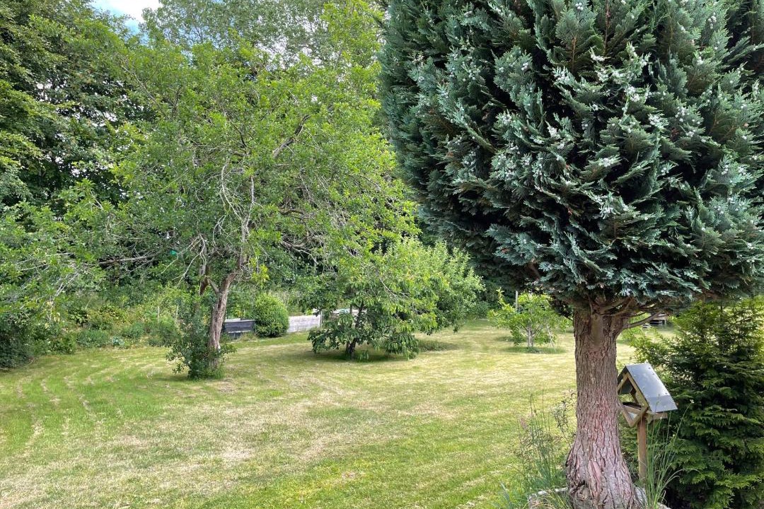 Photo of Outdoor in Skaerbaek