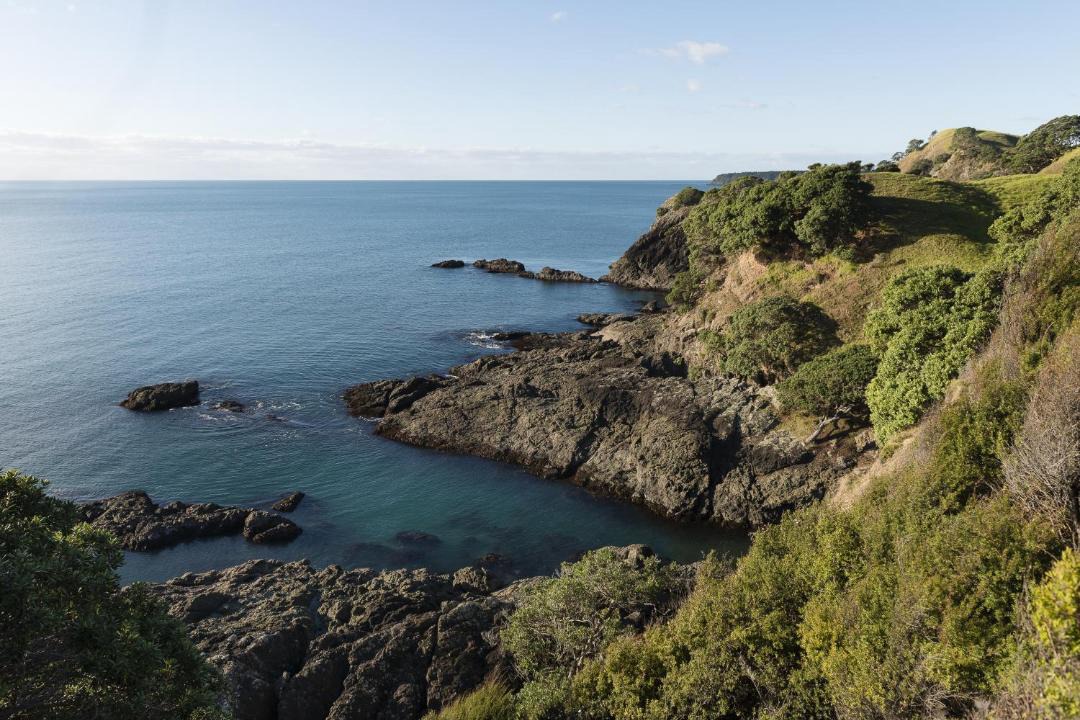 Photo of Others in Mahinepua