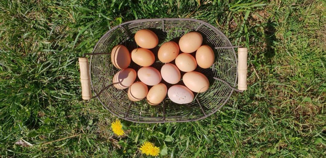 Photo of Others in Montory