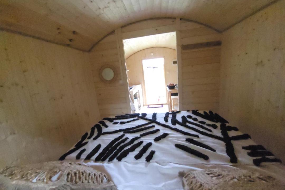 Photo of Others in Maclas