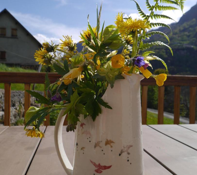 Photo of Others in Gedre