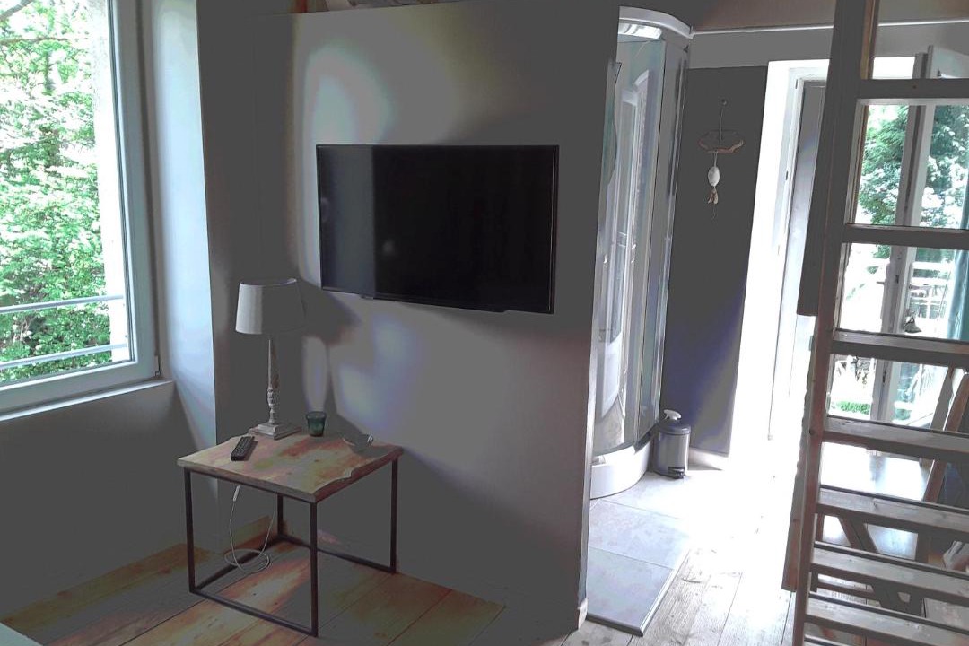 Photo of Livingroom in Saint-Bonnet-pres-Orcival