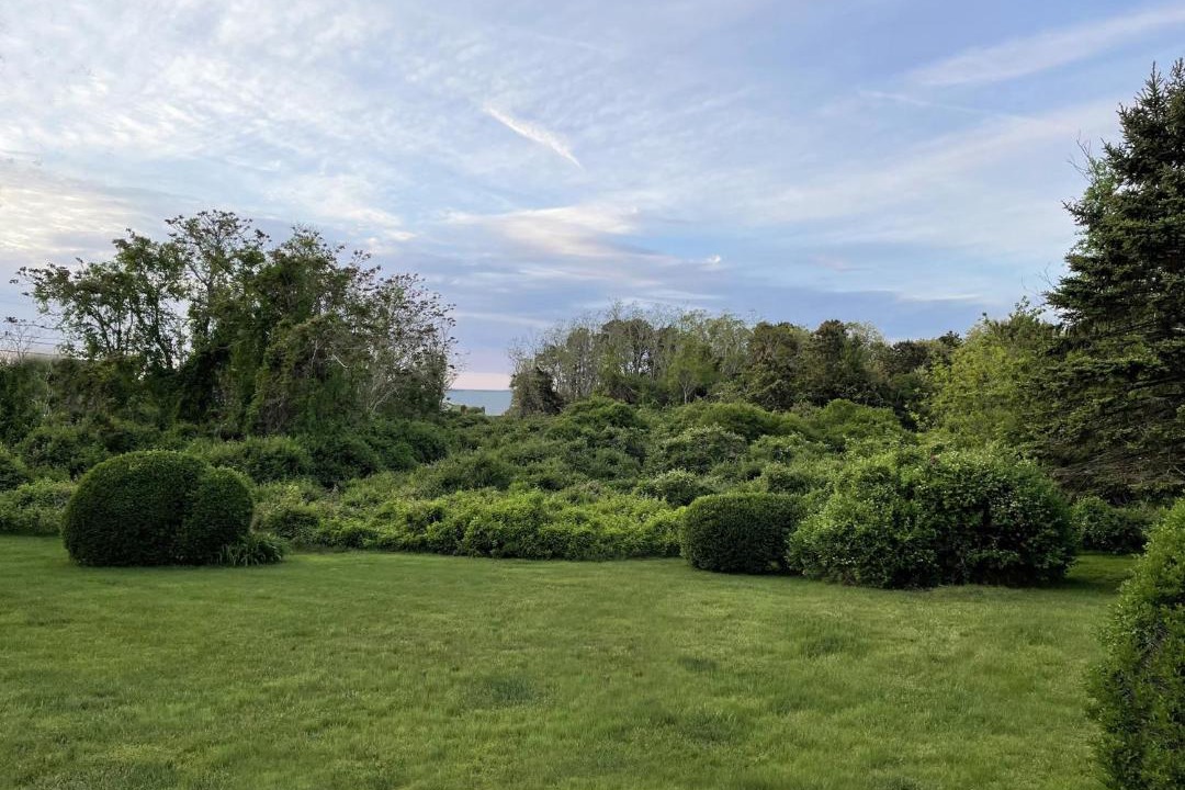 Photo of Others in Brewster