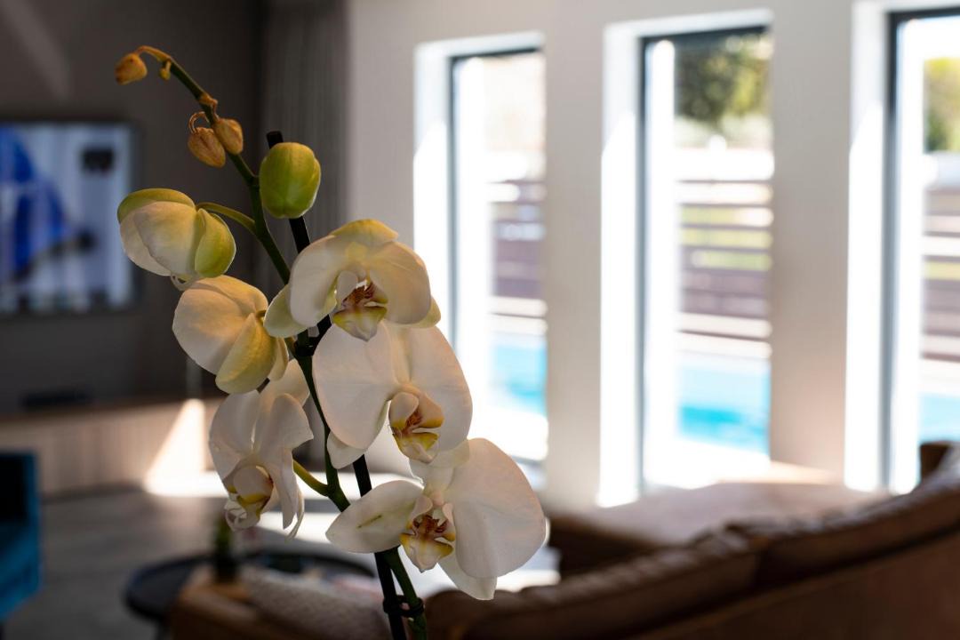 Photo of Livingroom in Vrvari