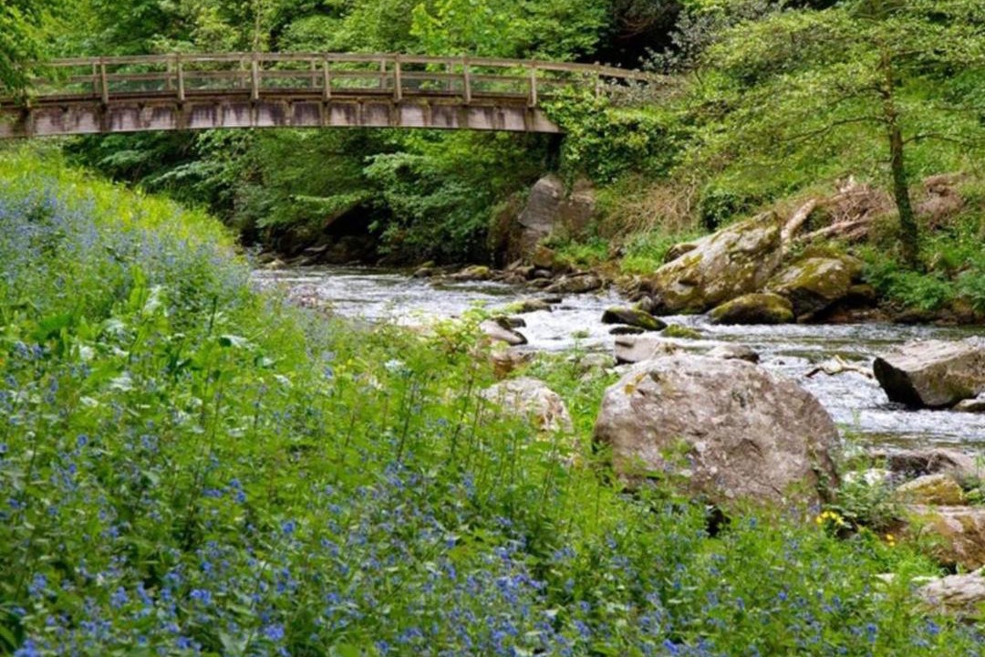 Photo of Others in Barbrook