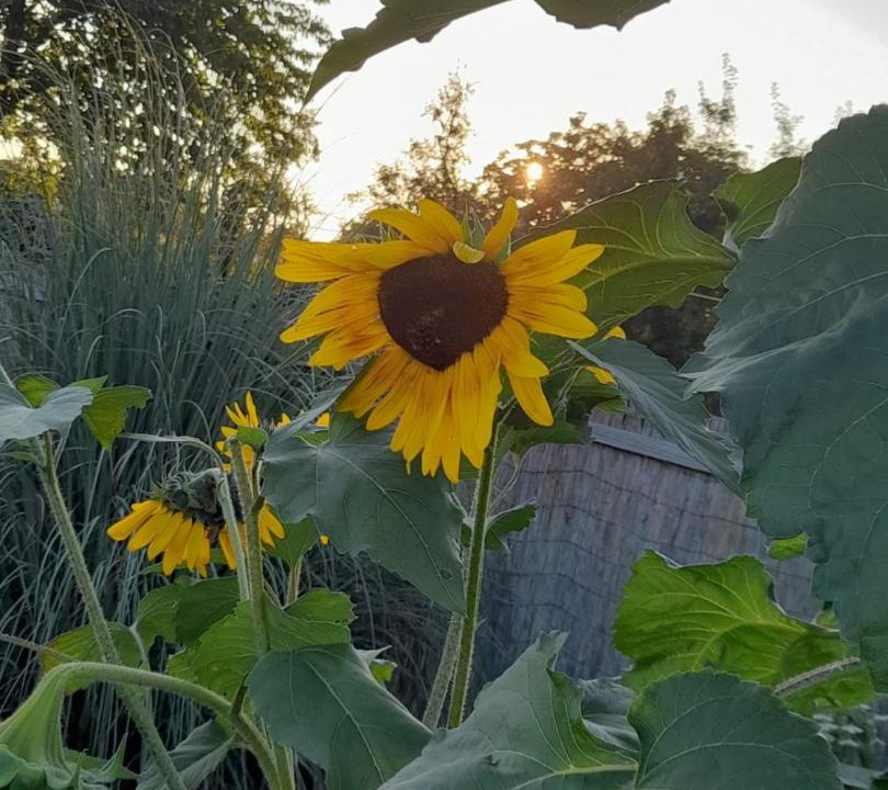 Photo of Others in Schleithal