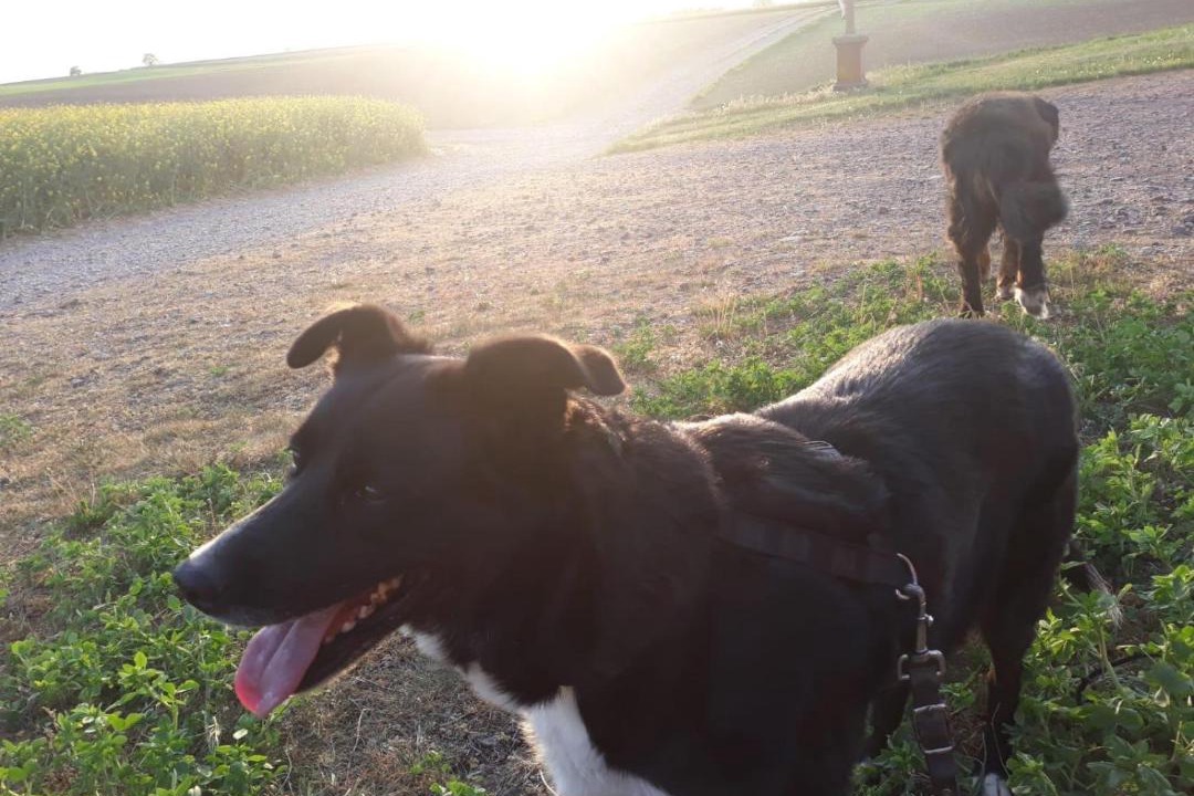 Photo of Others in Schleithal