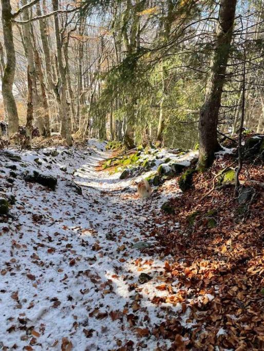 Photo of Others in La Morte