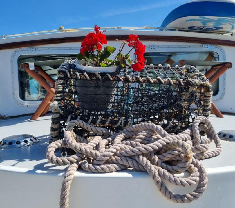 Photo of Others in Runnymede