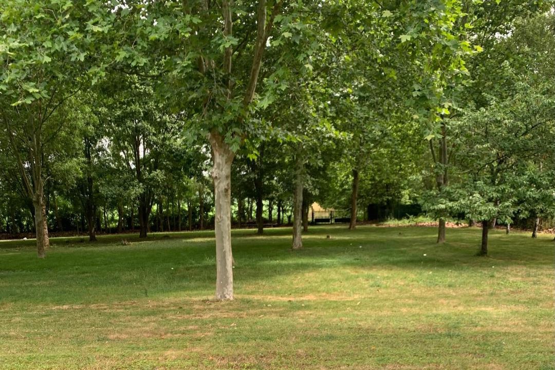Photo of Others in Cramchaban