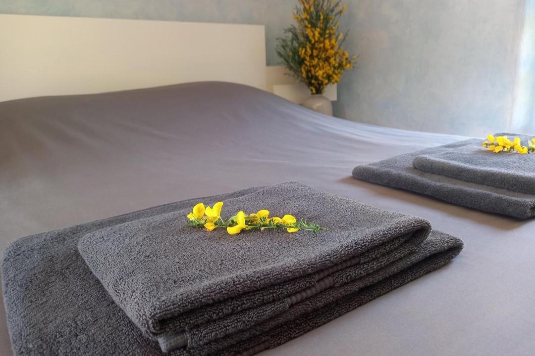 Photo of Others in Saint-Just