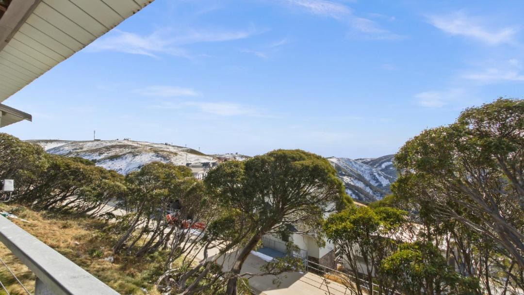 Photo of Others in Hotham Heights