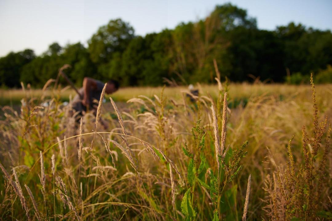 Photo of Outdoor in Troussures