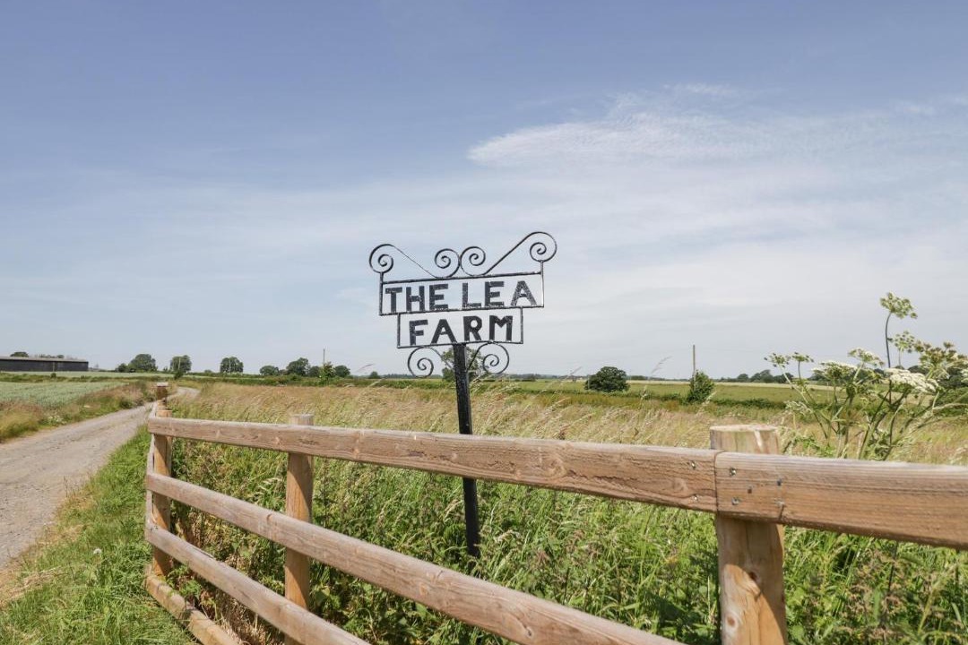 Photo of Others in Clows Top