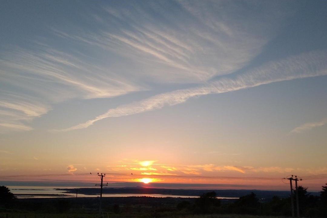 Photo of Others in Dinas