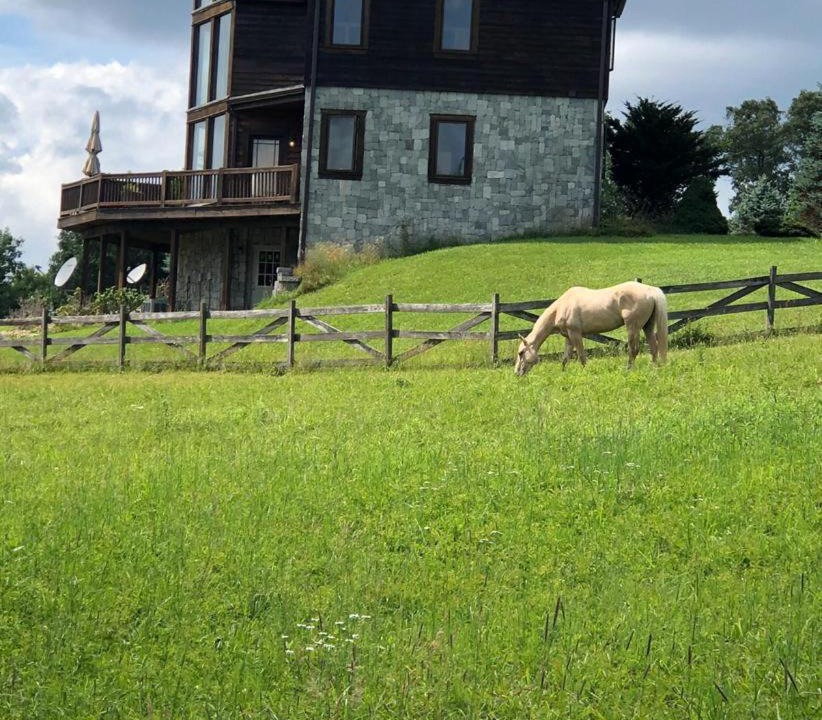 Photo of Others in Laurel Fork