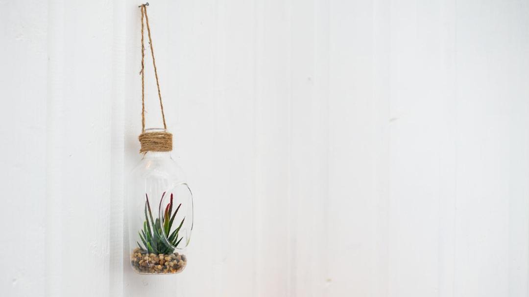 Photo of Others in Inverkip