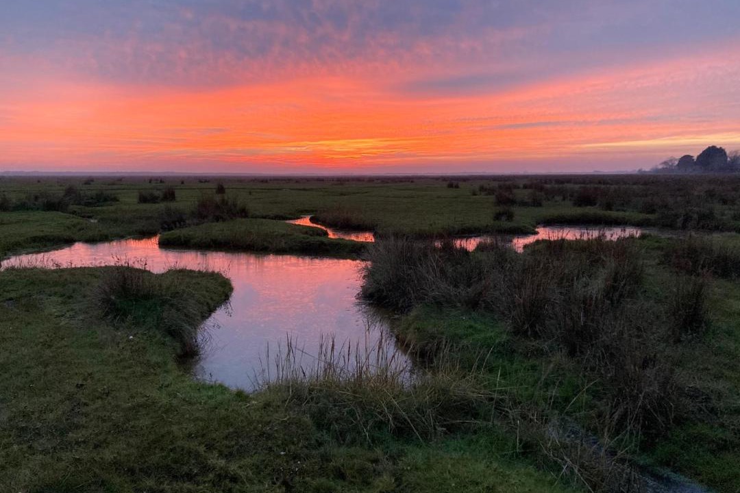 Photo of Others in Saint-Germain-sur-Ay