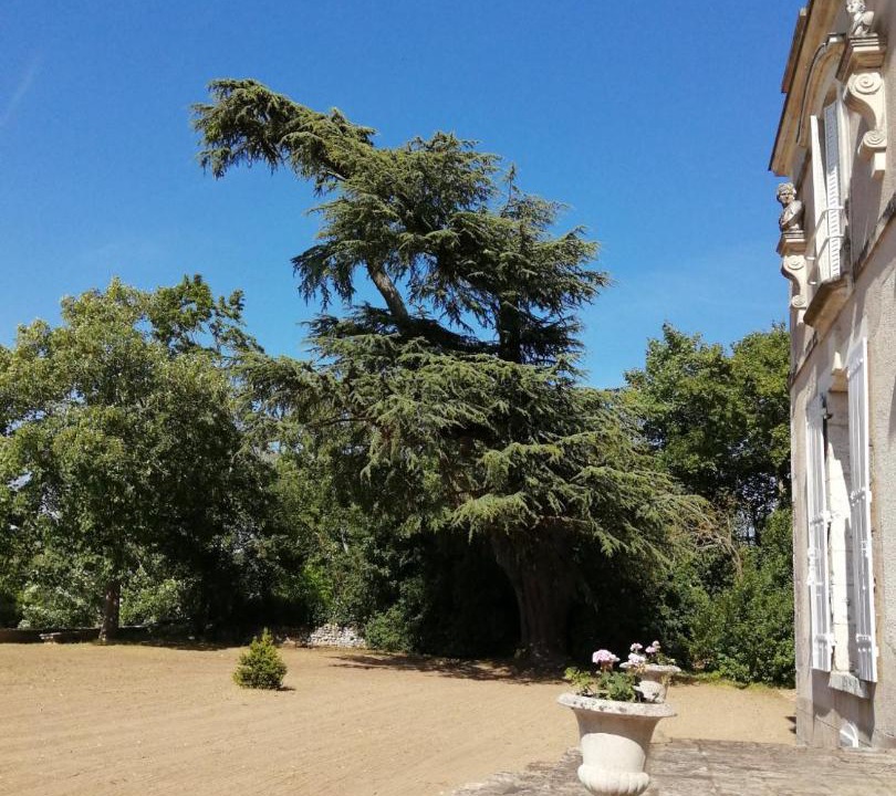 Photo of Others in Muides-sur-Loire