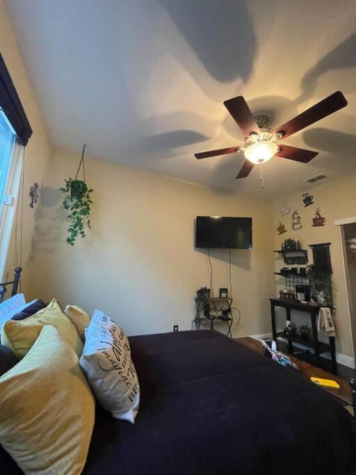 Photo of Others in Regency Park