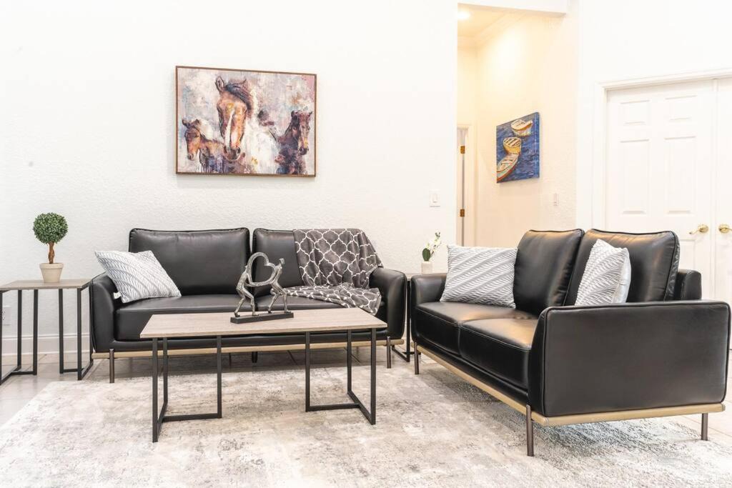 Photo of Livingroom in Wellington