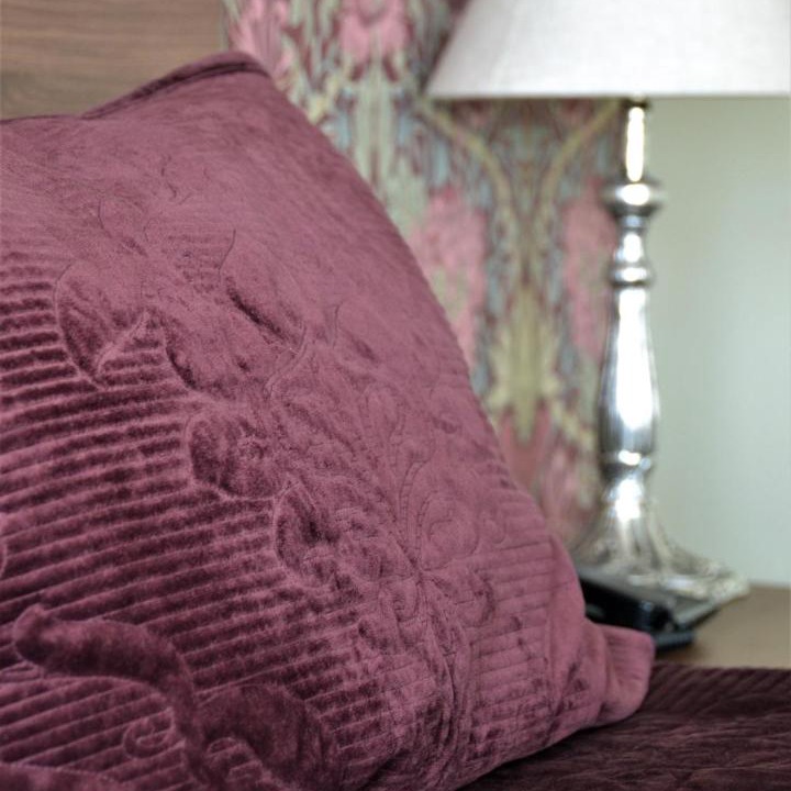 Photo of Others in Oamaru