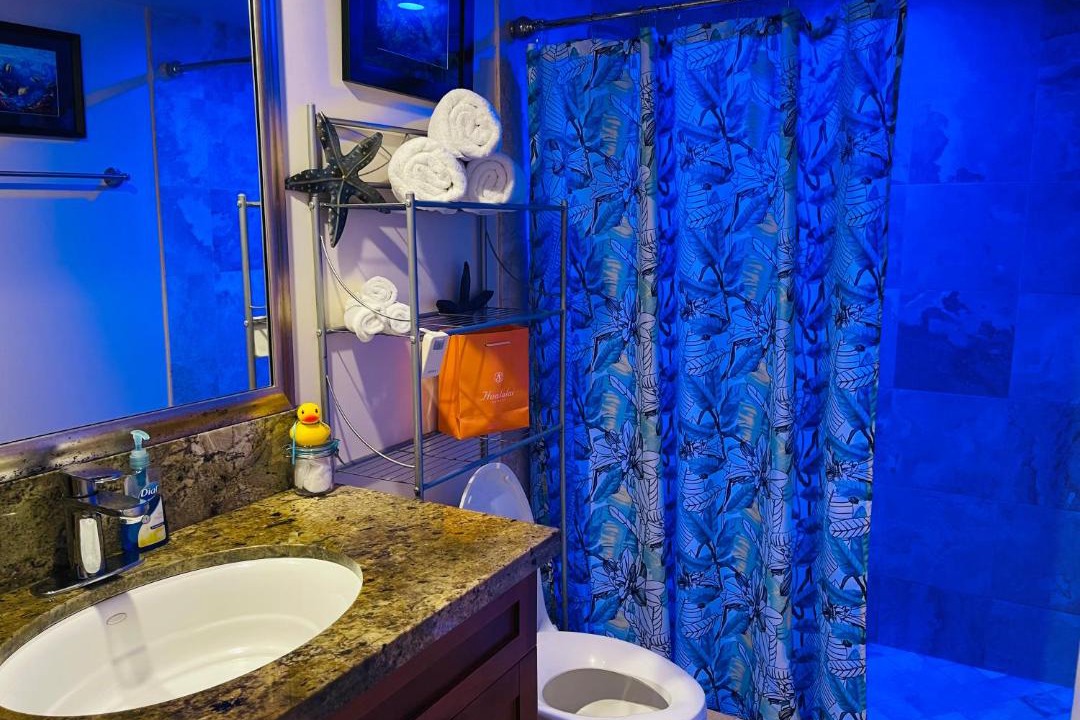 Photo of Others in Kahaluu Bay