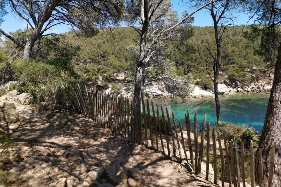Photo of Outdoor in La Madrague