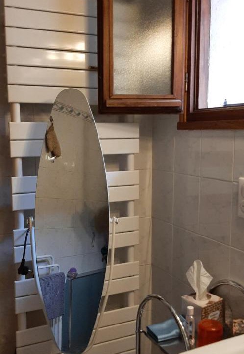 Photo of Others in Poule-les-Echarmeaux