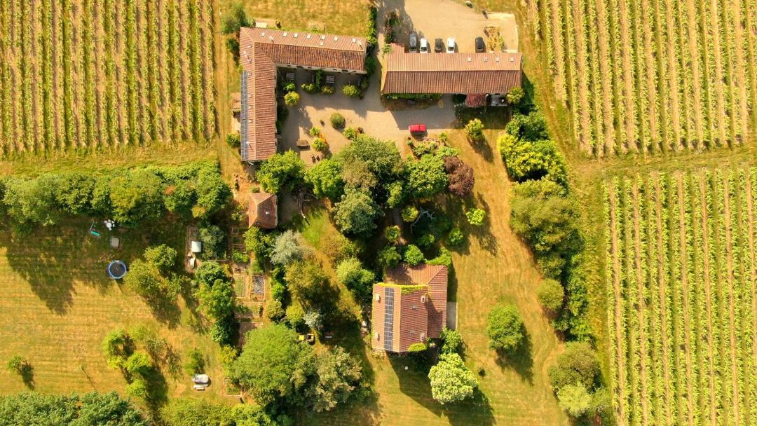 Photo of Others in Madiran