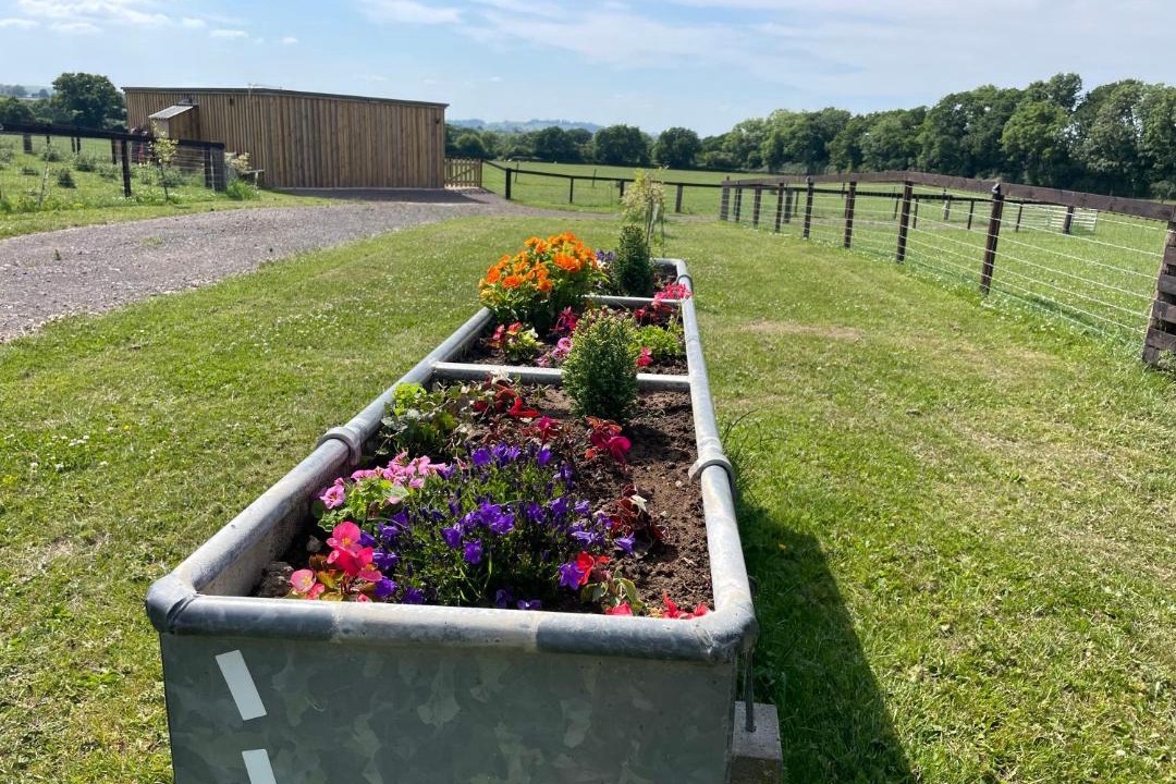 Photo of Others in Pulham