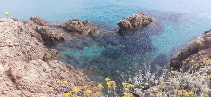 Photo of Outdoor in Gassin